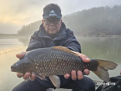 하루4짜가 12마리