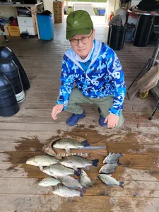 고삼지 상류권 포인트 조황입니다.