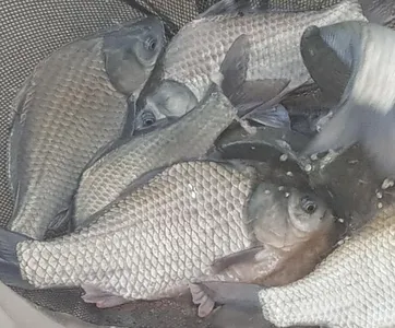 아름다운계곡속에자리잡은장계지에서