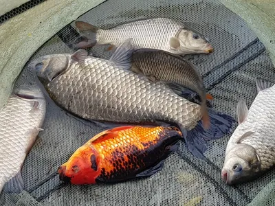 아름다운계곡속에자리잡은장계지에서