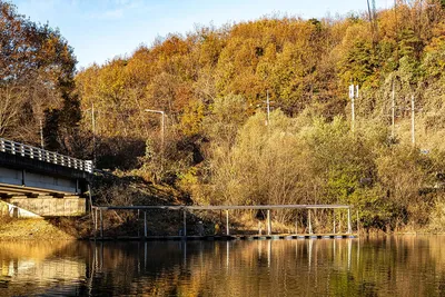 안성 두메낚시터 11월 12일 조황정보