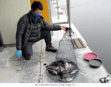 주말 출조하신 조사님들은.....