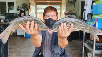 고삼지 밤낚시 스타트를 알립니다.