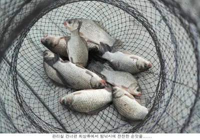 징하게 불던 바람이 오늘은....