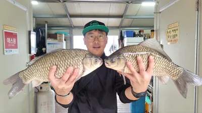 고삼지 상류권 사짜조황입니다.