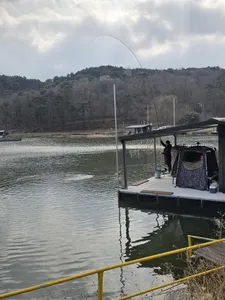 당진 항곡낚시터 개장소식입니다.