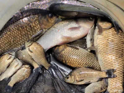 장계지에아름다운날들