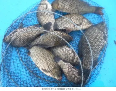 9월을 이런조황으로 시작합니다...