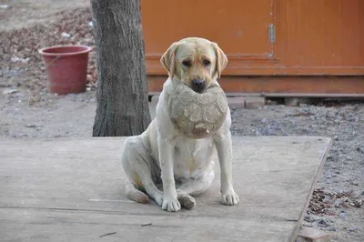 [유일낚시터]꾸준하게방류하고있습니다,~~!