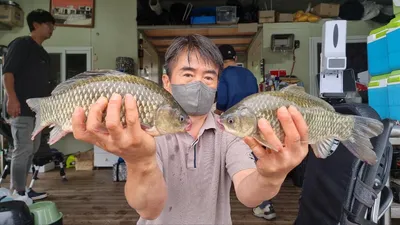 고삼지 상류권 주말 조황입니다.