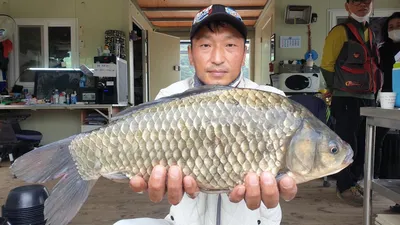 물오른 고삼저수지 조황입니다.