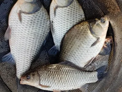 아름다운계곡속에자리잡은장계지에서