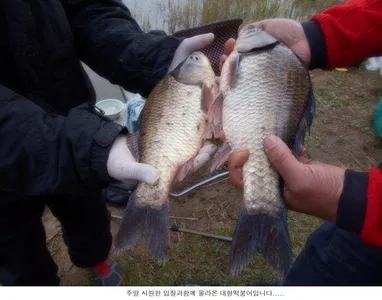 시원한 입질을보인 주말입니다....