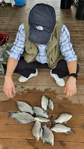 물오른 고삼저수지 조황입니다.