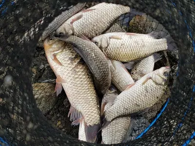 아름다운장계지에서