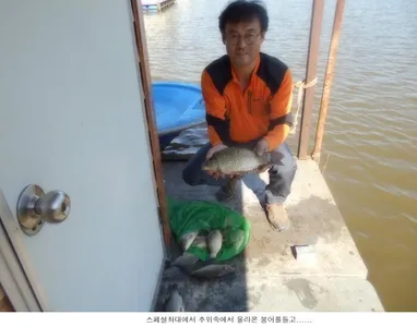 이제는 붕어도 적응을 하나봅니다....