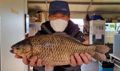 고삼지 계속되는 사짜조황 달려봅니다.