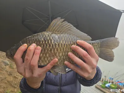 용담대물낚시터 