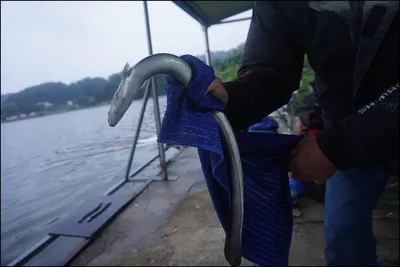 남는 장사하세요~