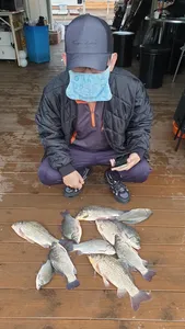 고삼저수지의 최고의 포인트 조황입니다.