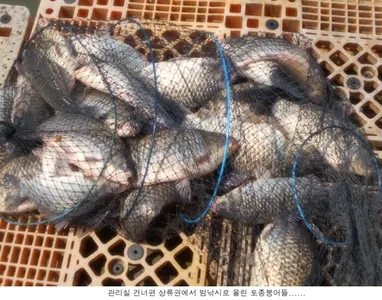 이번주말 기대하셔도 좋을듯합니다...