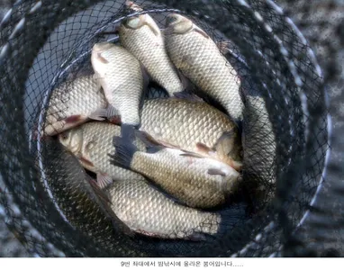 점점  좋아지고 있습니다....