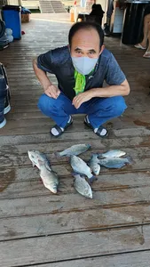 이 더위에 붕어라니!!