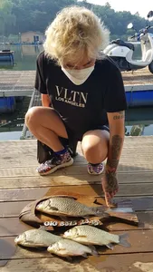 고삼지는 산란중!!