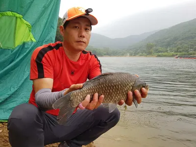 아름다운장계지에서