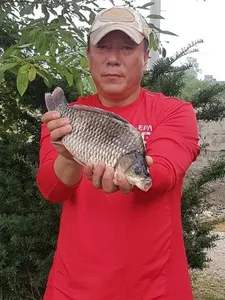 아산 명품 월랑낚시터 7월 첫번째 조황이야기입니다...^^