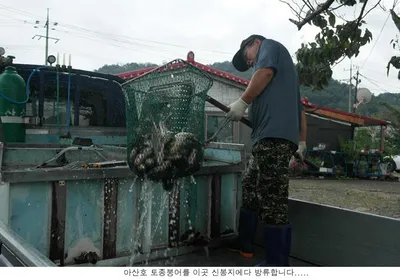 9월을 기대하면서 방류도 합니다....