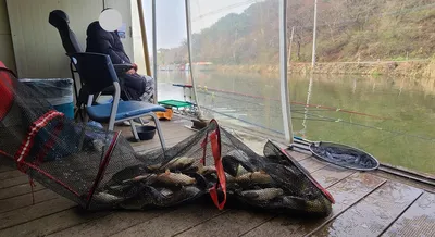 초봄시즌 힐링 수곡낚시터 주말 조황 및 붕어 방류