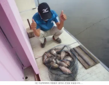 8월 시원한 조황으로 마무리합니다...