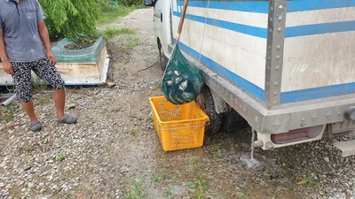 아산 명품 월랑낚시터 9월 첫번째 조황화보입니다...^^