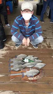 고삼지 상류권 붕어조황입니다.