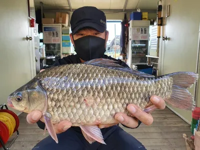 고삼지 상류권 최고의 가을낚시포인트