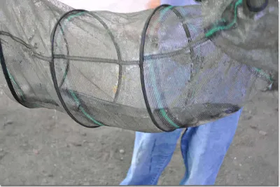 [유일낚시터] 주말에는 장어가 터졌데요~~!