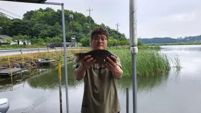 배수없는 낚시터 주말 조황입니다.