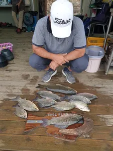 고삼지 독보적인 상류권 포인트!!