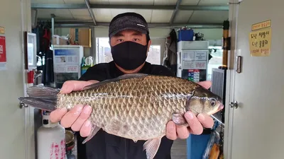 고삼지 상류권의 최고의 포인트!! 사짜붕어조황!!