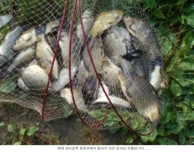 수위가 오르니 바로 나오네요....