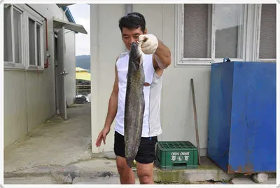 [유일낚시터] 주말에는 빵터졌답니다,~~!