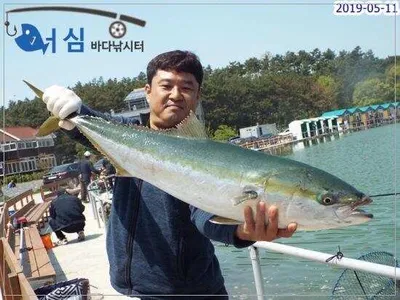 5월11일 어심바다낚시터조황 
