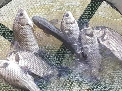 아름다운장계지에서