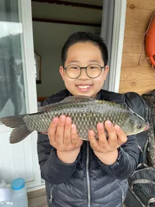 고삼지 양촌좌대 사짜붕어~