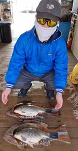 고삼지 주중독조 쌍 사짜붕어!!