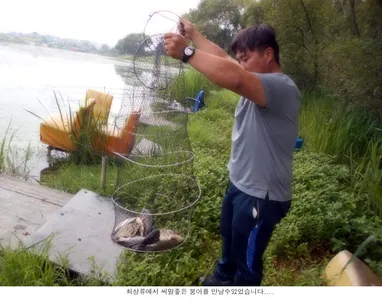 어려운 가운데서 올라온 붕어....