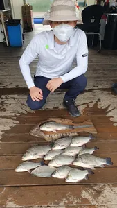 고삼지 오름수위 준비!! 마리수 조황!!