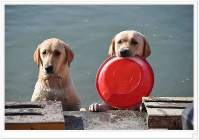 [유일낚시터]유일지기 구름이 인사드립니다,^_____^