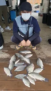 고삼지 조황 물올랐습니다.